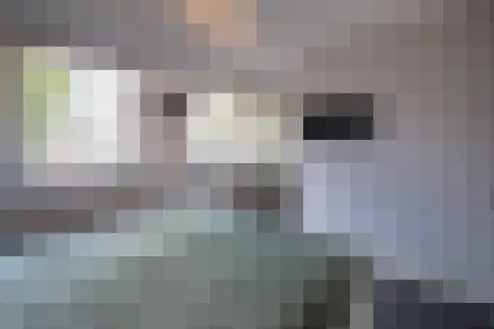 Seine 20 Nieuwerkerk aan den IJssel thumbnail 17