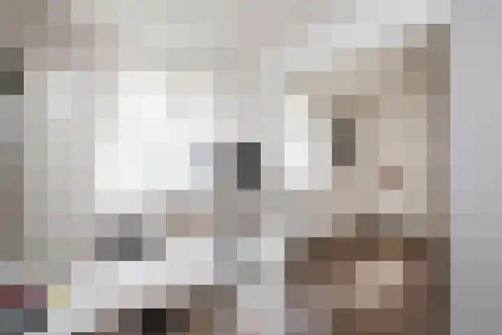 Seine 20 Nieuwerkerk aan den IJssel thumbnail 19