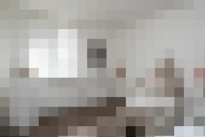 Seine 20 Nieuwerkerk aan den IJssel thumbnail 20
