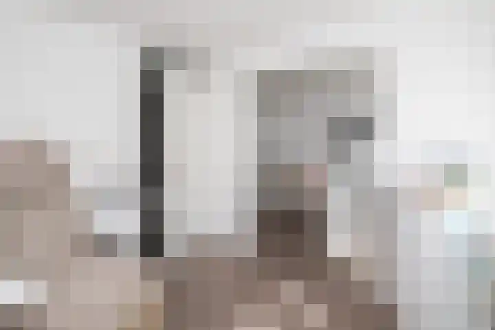 Seine 20 Nieuwerkerk aan den IJssel thumbnail 21