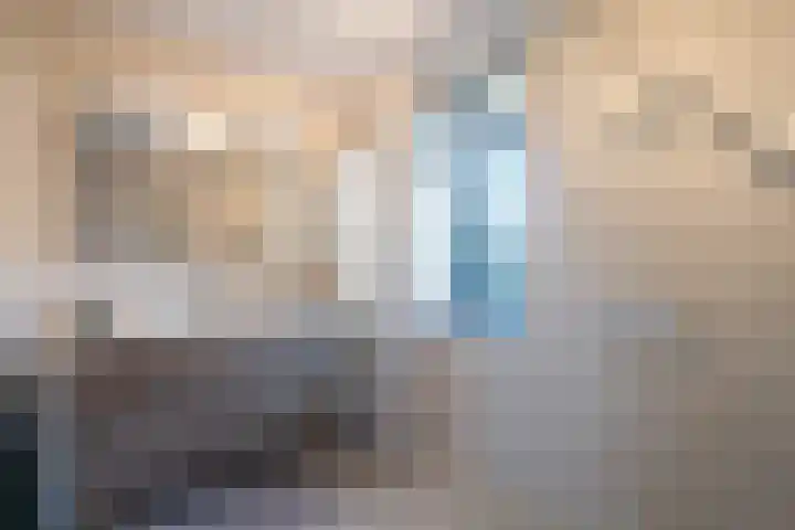Seine 20 Nieuwerkerk aan den IJssel thumbnail 23