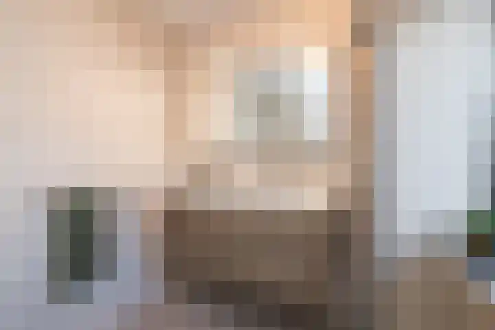Seine 20 Nieuwerkerk aan den IJssel thumbnail 25