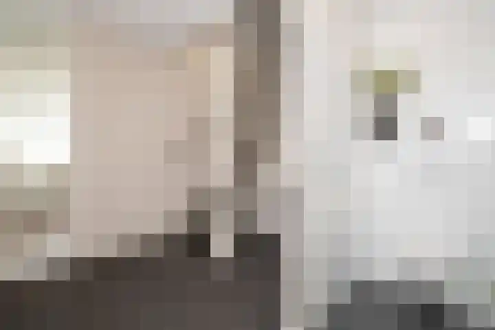 Seine 20 Nieuwerkerk aan den IJssel thumbnail 26