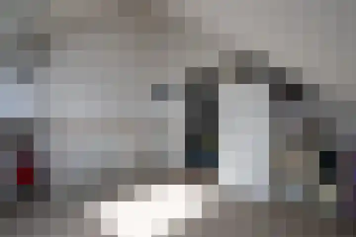 Seine 20 Nieuwerkerk aan den IJssel thumbnail 27