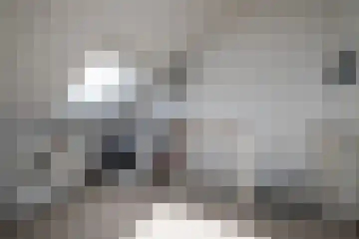Seine 20 Nieuwerkerk aan den IJssel thumbnail 28