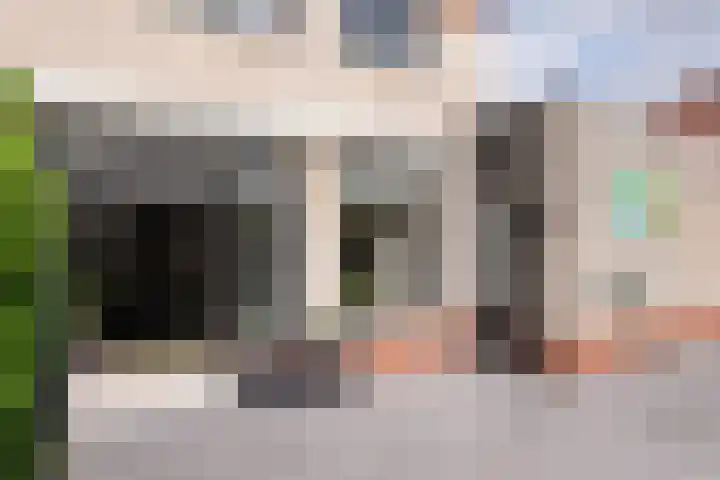 Seine 20 Nieuwerkerk aan den IJssel thumbnail 31