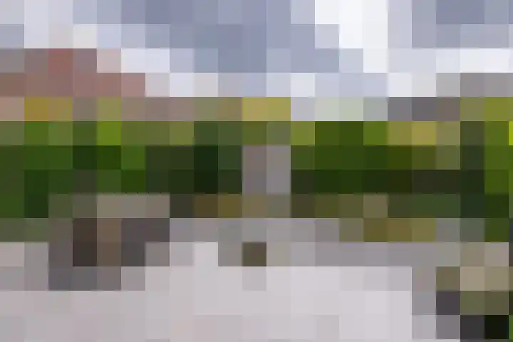 Seine 20 Nieuwerkerk aan den IJssel thumbnail 32