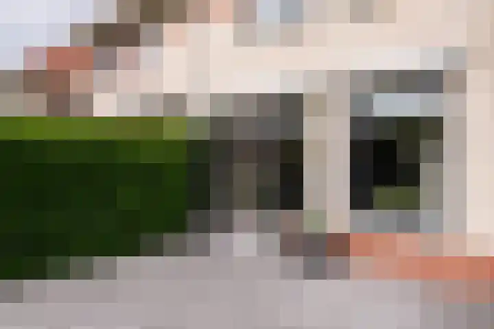 Seine 20 Nieuwerkerk aan den IJssel thumbnail 34