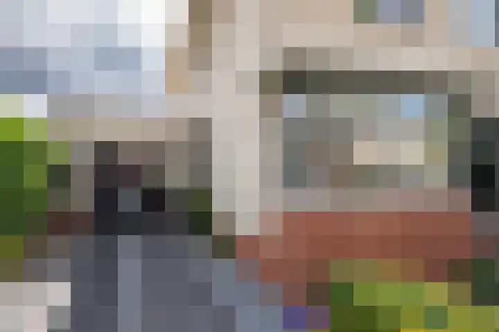 Seine 20 Nieuwerkerk aan den IJssel thumbnail 36
