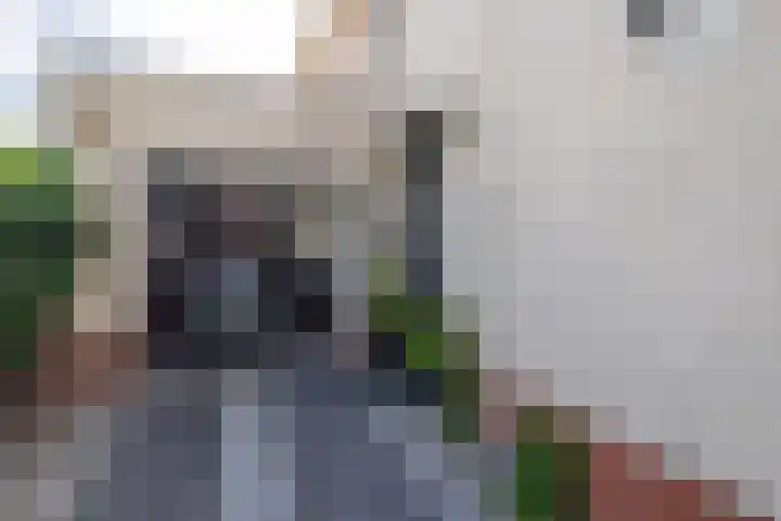 Seine 20 Nieuwerkerk aan den IJssel thumbnail 38