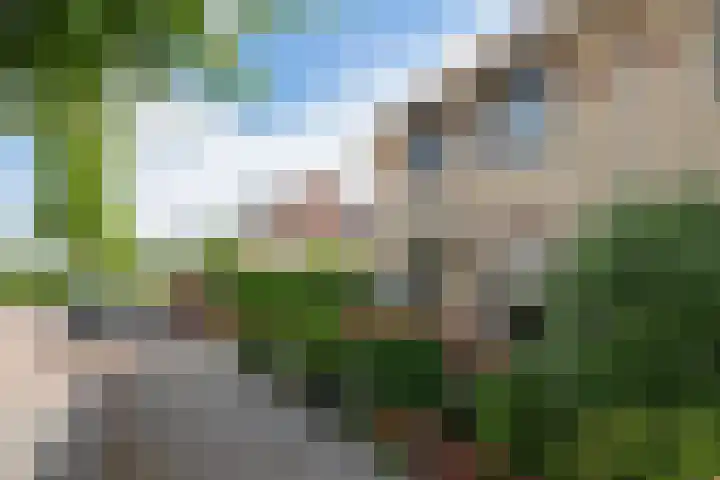 Seine 20 Nieuwerkerk aan den IJssel thumbnail 39