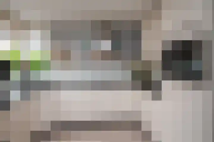 Seine 20 Nieuwerkerk aan den IJssel thumbnail 4