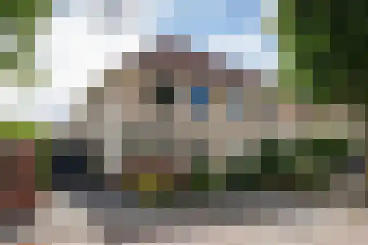 Seine 20 Nieuwerkerk aan den IJssel thumbnail 40