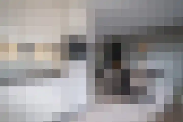 Seine 20 Nieuwerkerk aan den IJssel thumbnail 5