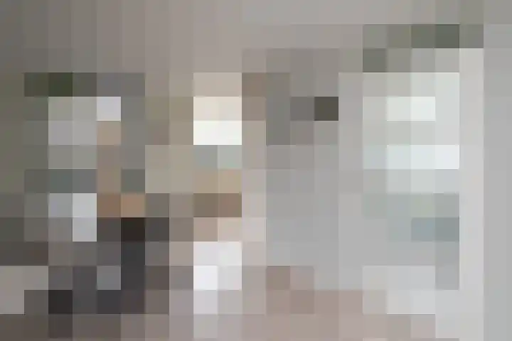 Seine 20 Nieuwerkerk aan den IJssel thumbnail 6