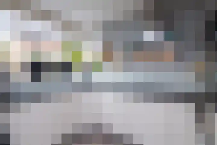 Seine 20 Nieuwerkerk aan den IJssel thumbnail 7