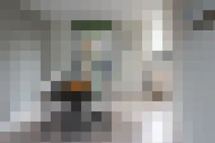 Seine 20 Nieuwerkerk aan den IJssel thumbnail 8