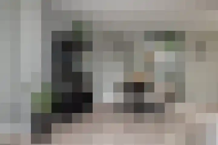 Seine 20 Nieuwerkerk aan den IJssel thumbnail 9