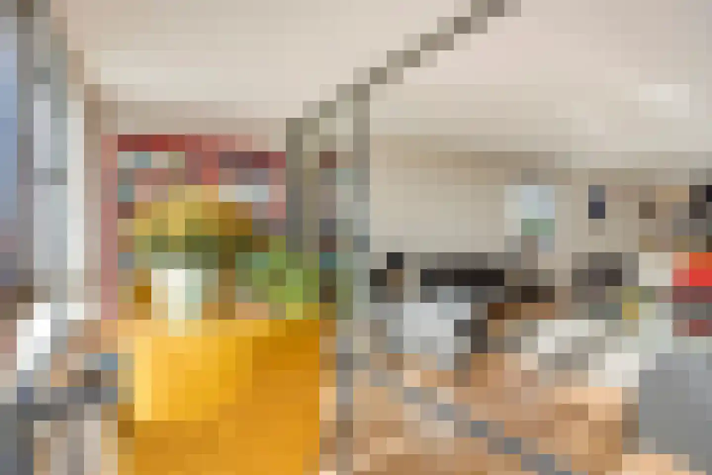 Seine 37 Nieuwerkerk aan den IJssel thumbnail 13