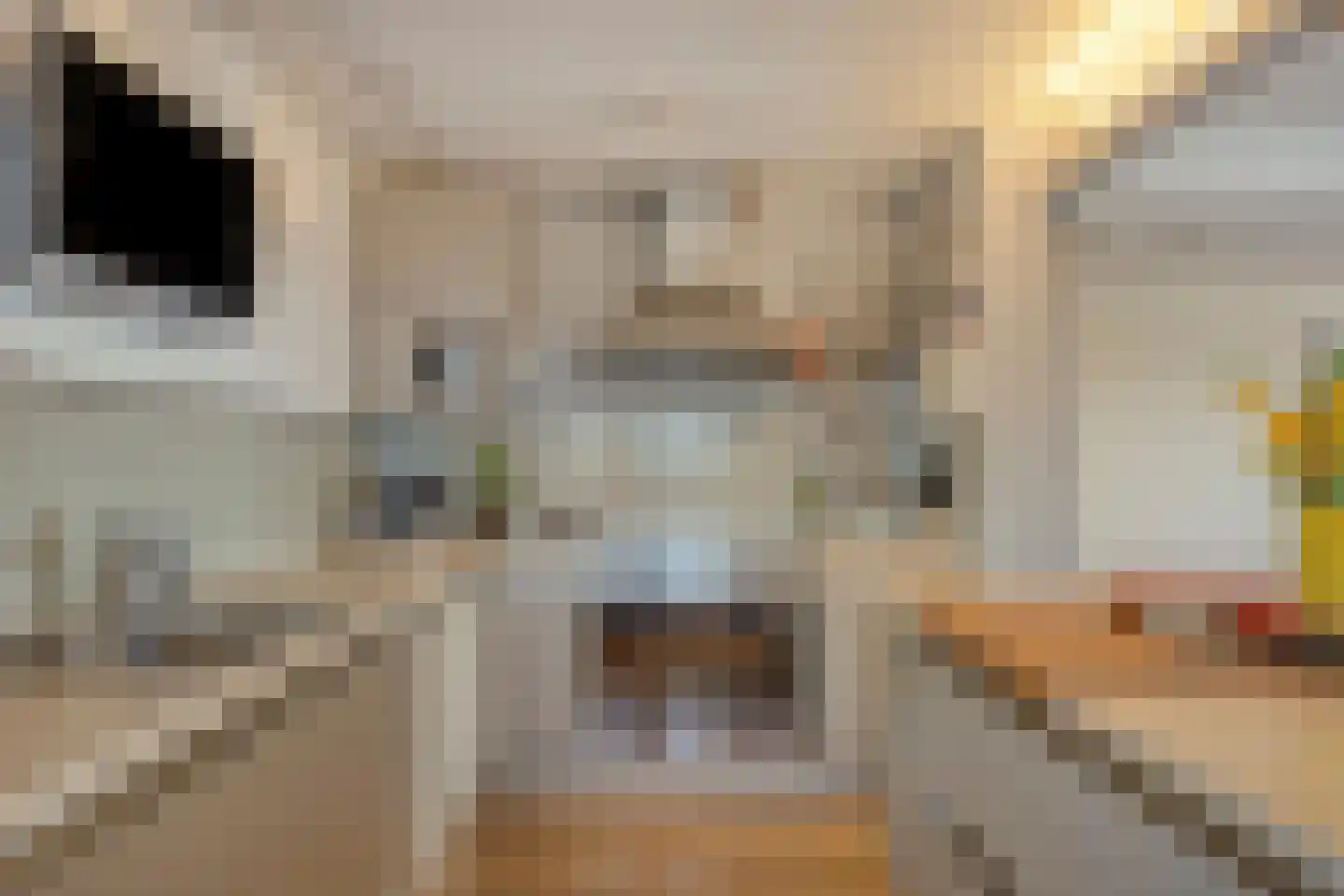 Seine 37 Nieuwerkerk aan den IJssel thumbnail 15