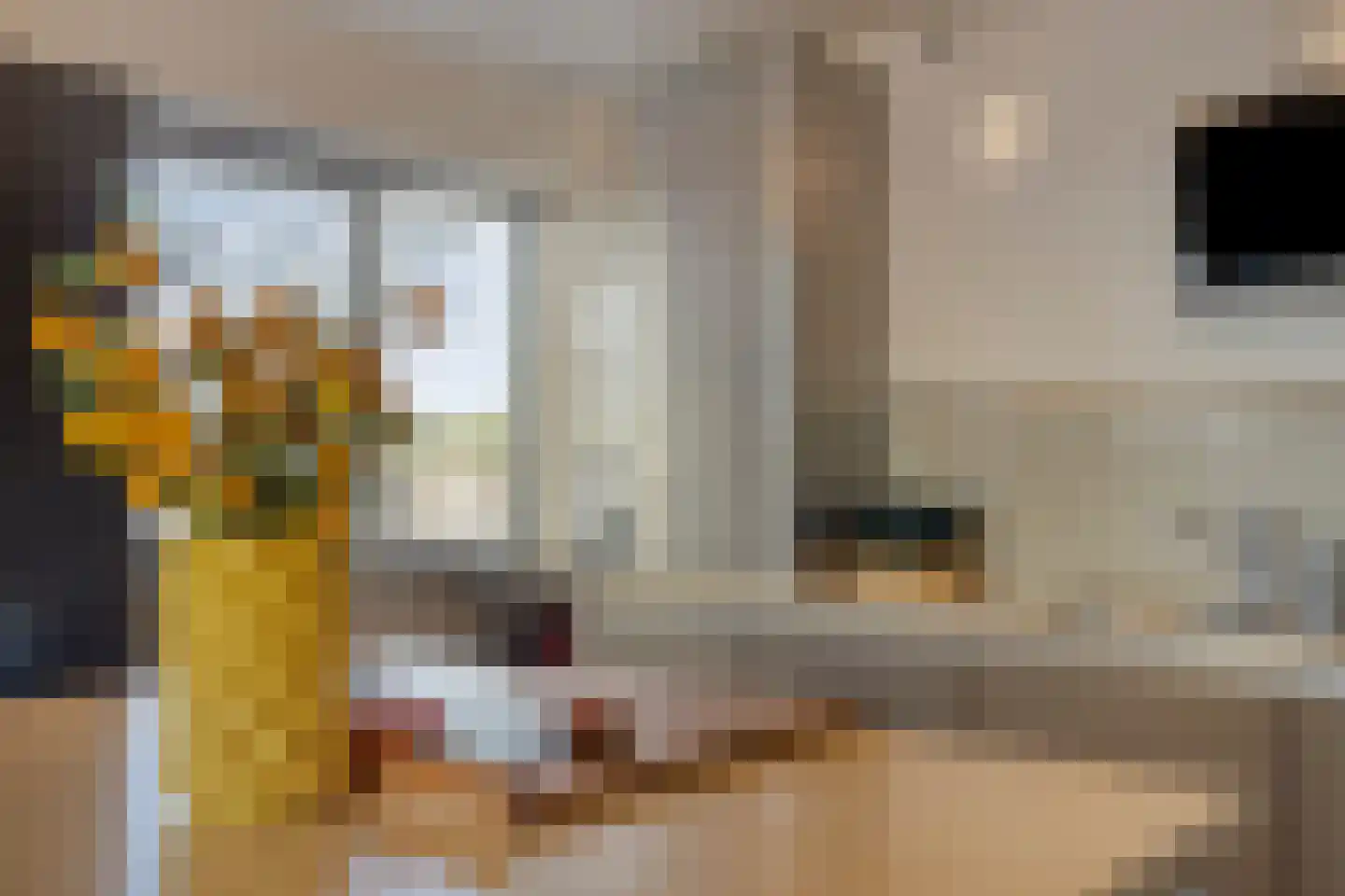 Seine 37 Nieuwerkerk aan den IJssel thumbnail 16