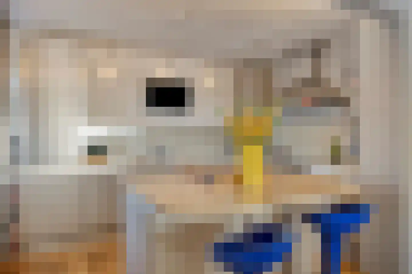 Seine 37 Nieuwerkerk aan den IJssel thumbnail 17