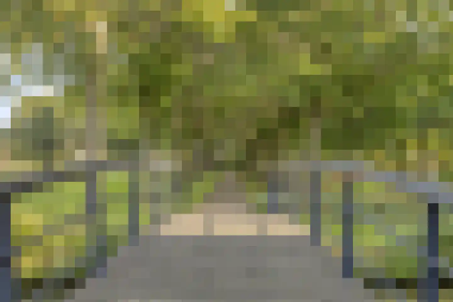 Seine 37 Nieuwerkerk aan den IJssel thumbnail 31