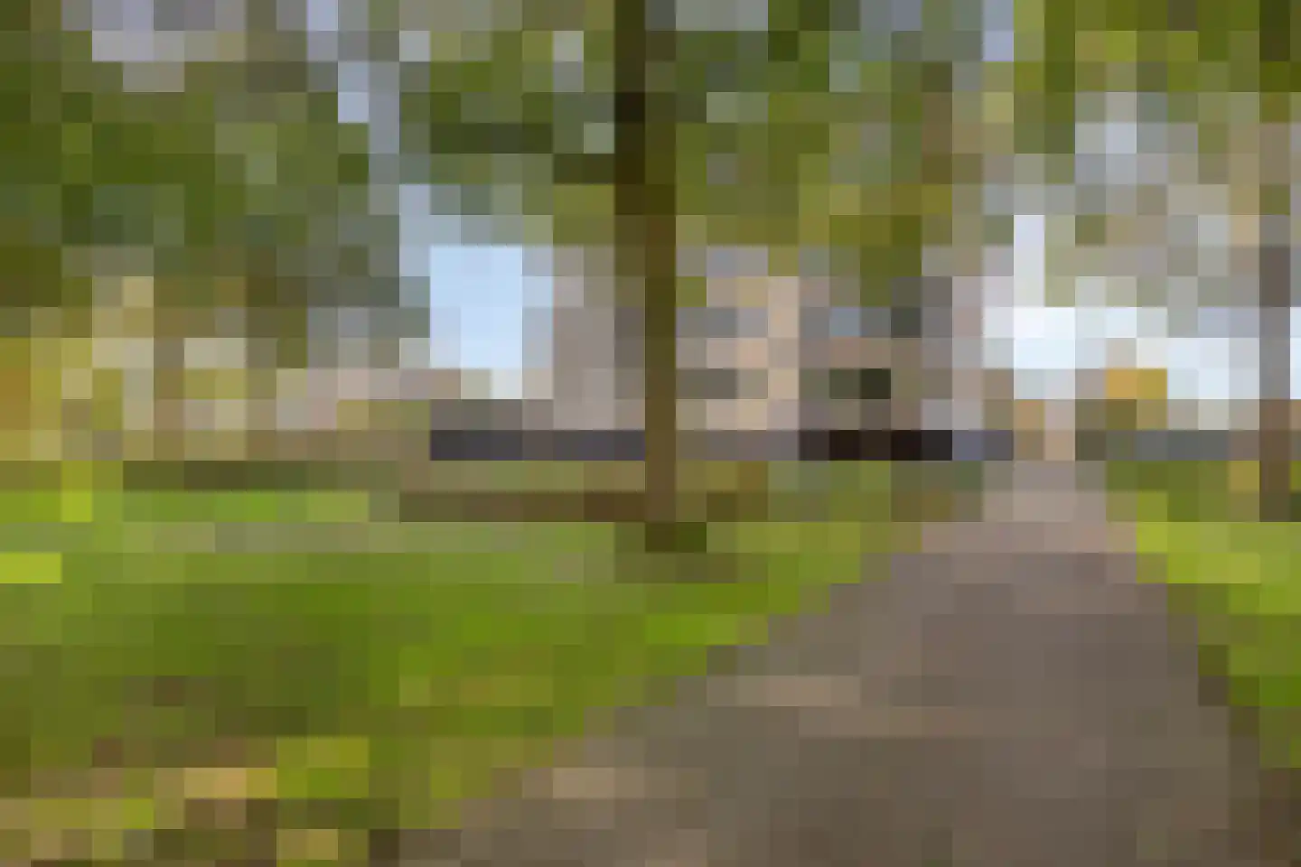 Seine 37 Nieuwerkerk aan den IJssel thumbnail 33