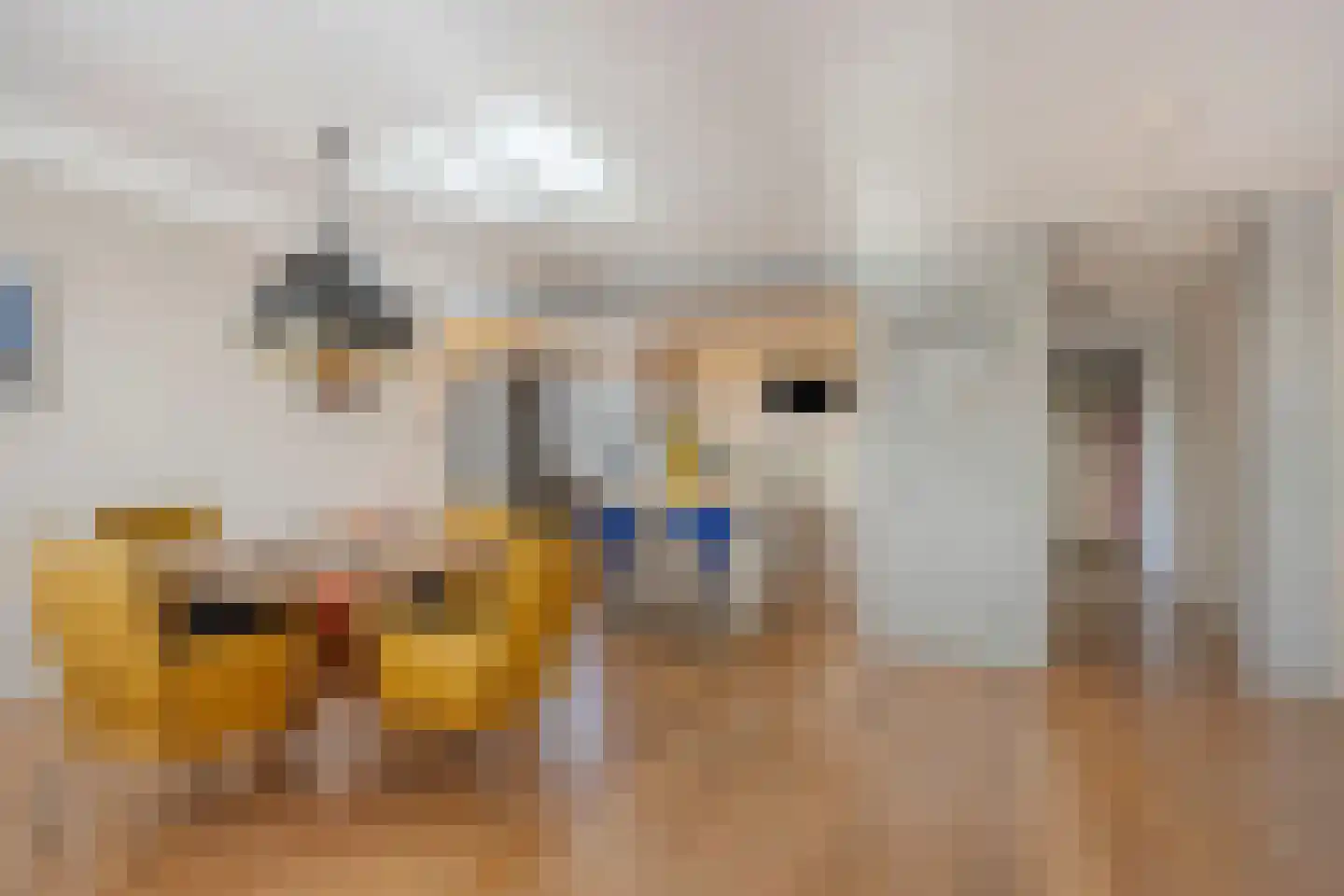 Seine 37 Nieuwerkerk aan den IJssel thumbnail 5