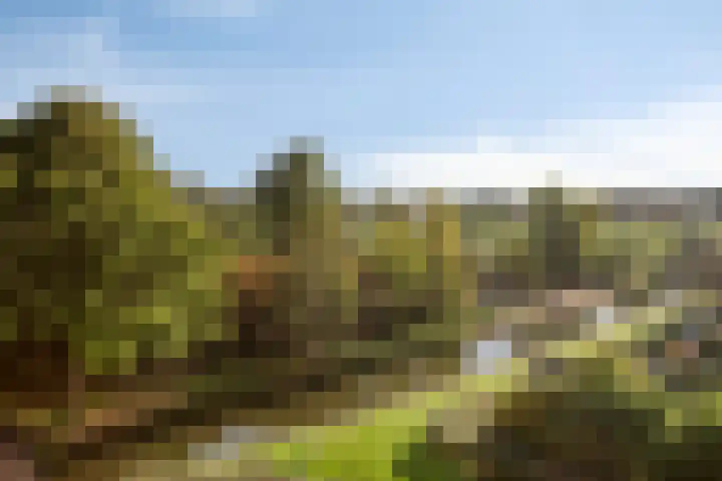 Seine 37 Nieuwerkerk aan den IJssel thumbnail 8