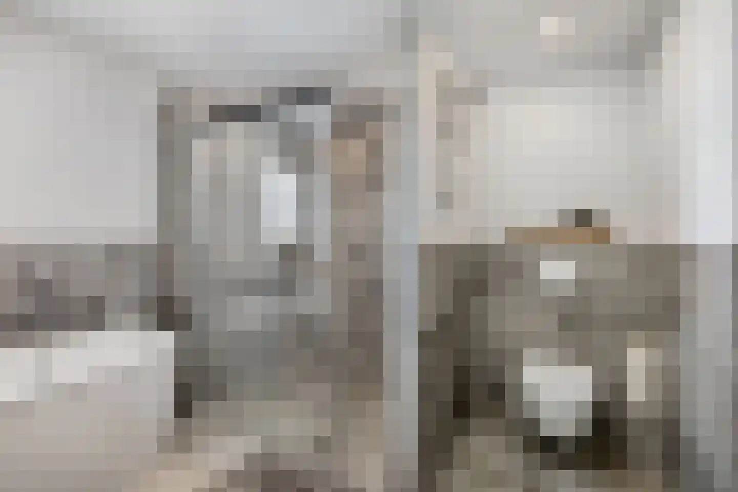 Seine 45 Nieuwerkerk aan den IJssel thumbnail 13