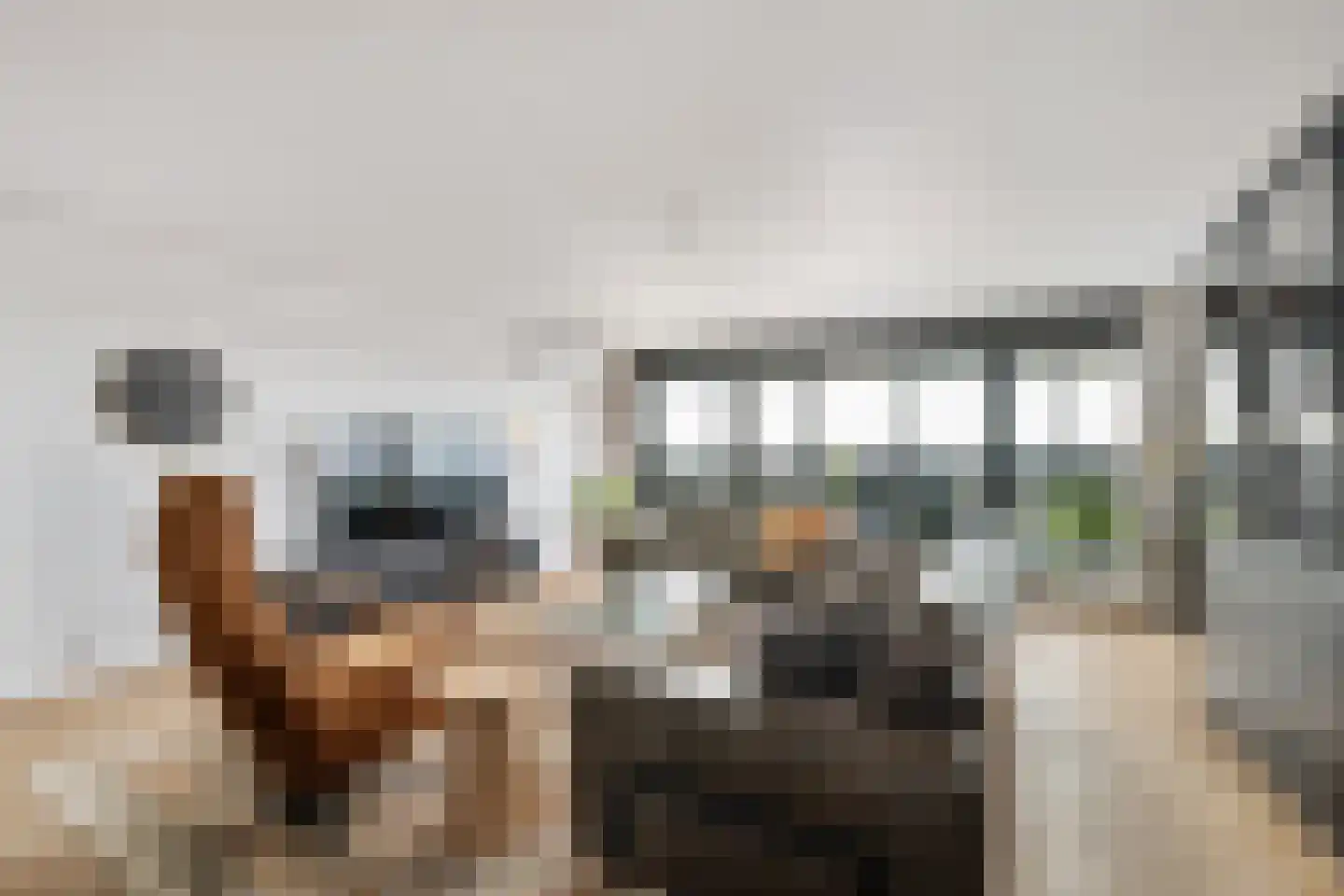 Seine 45 Nieuwerkerk aan den IJssel thumbnail 5