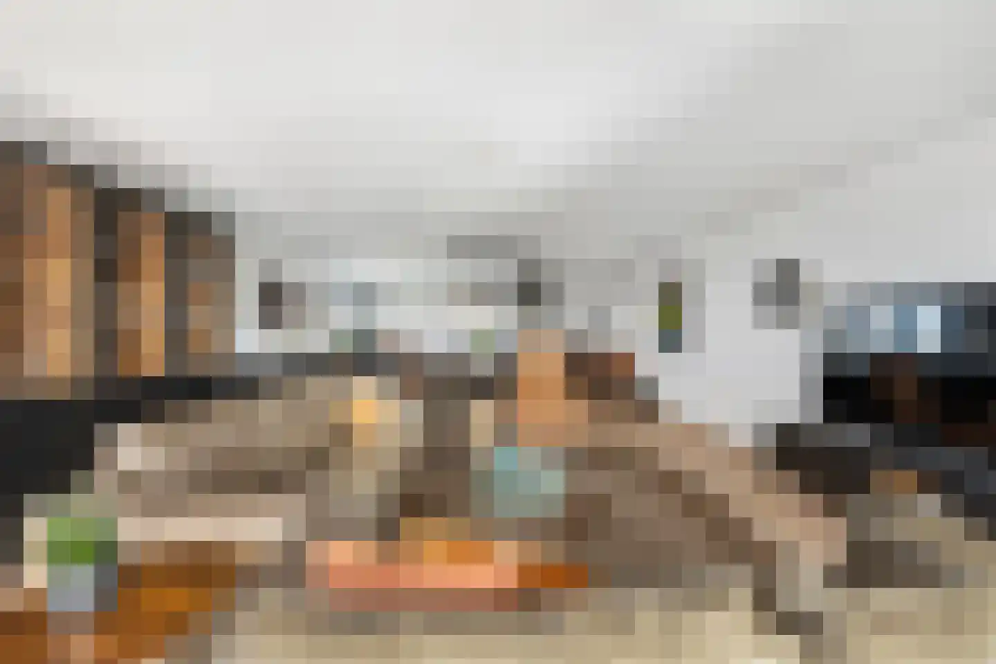 Seine 45 Nieuwerkerk aan den IJssel thumbnail 6
