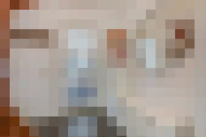 Seine 6 Doetinchem thumbnail 16