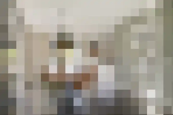 Seine 6 Doetinchem thumbnail 19