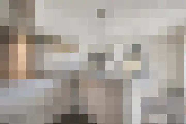 Seine 6 Doetinchem thumbnail 34