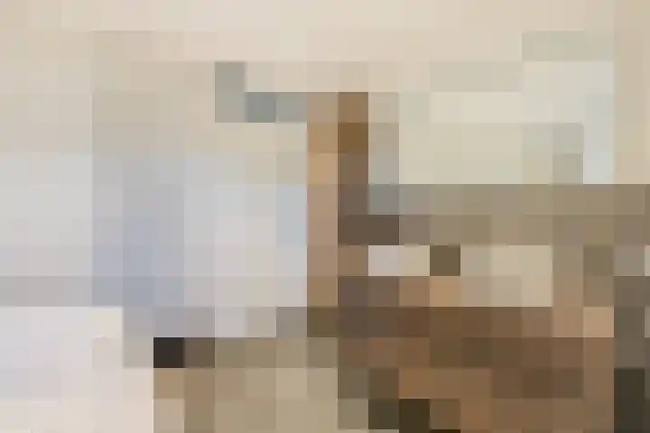 Seine 6 Doetinchem thumbnail 4