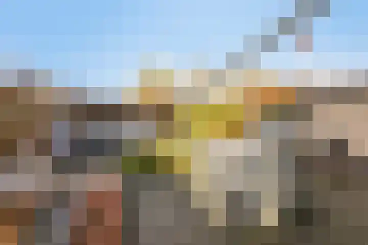 Seine 6 Doetinchem thumbnail 42