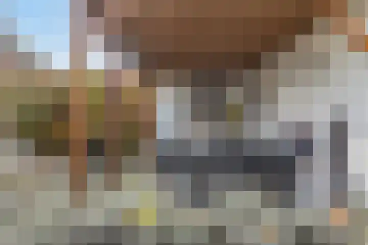 Seine 6 Doetinchem thumbnail 45