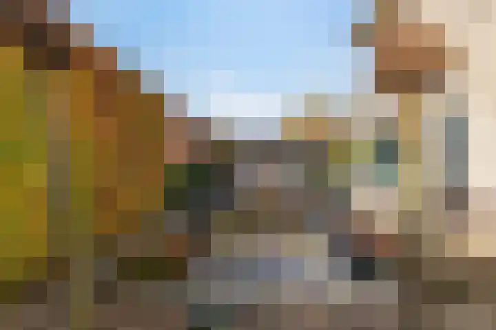 Seine 6 Doetinchem thumbnail 47