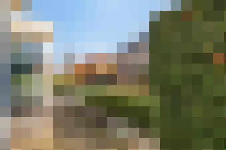 Seine 6 Doetinchem thumbnail 49