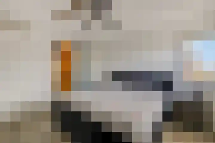 Seine 6 Doetinchem thumbnail 52