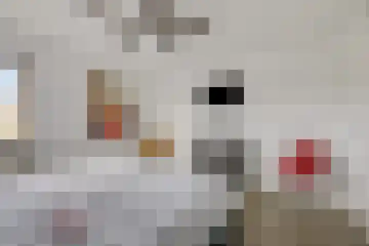 Seine 6 Doetinchem thumbnail 54
