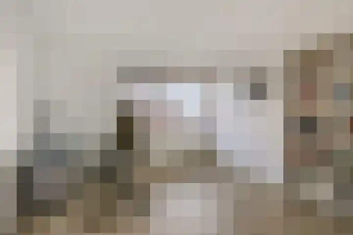 Seine 6 Doetinchem thumbnail 55
