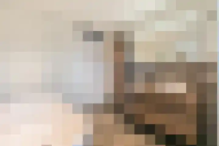 Seine 6 Doetinchem thumbnail 64