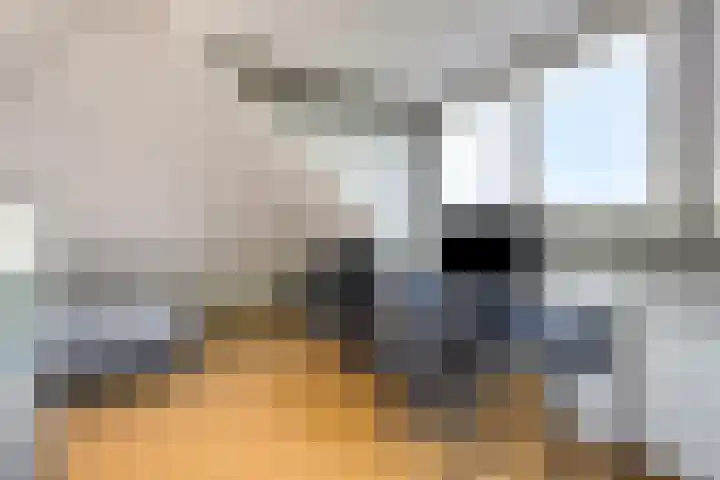 Seine 6 Doetinchem thumbnail 67