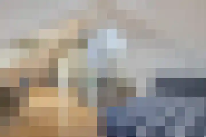 Seine 6 Doetinchem thumbnail 71