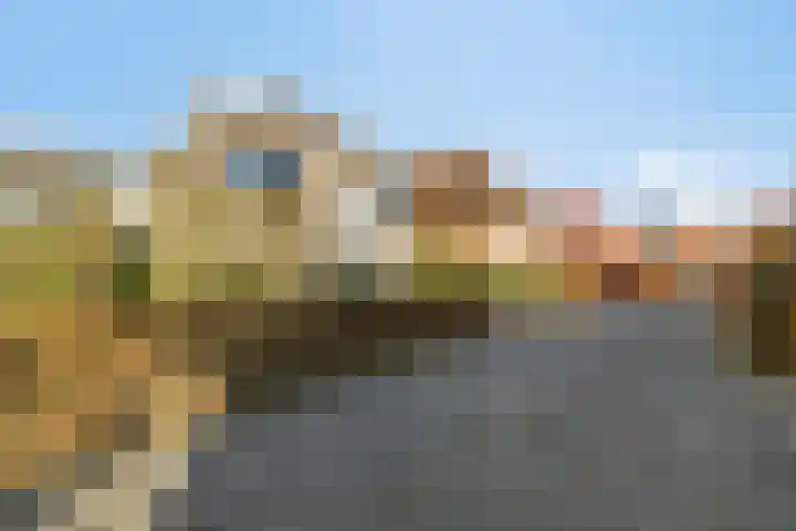 Seine 6 Doetinchem thumbnail 8