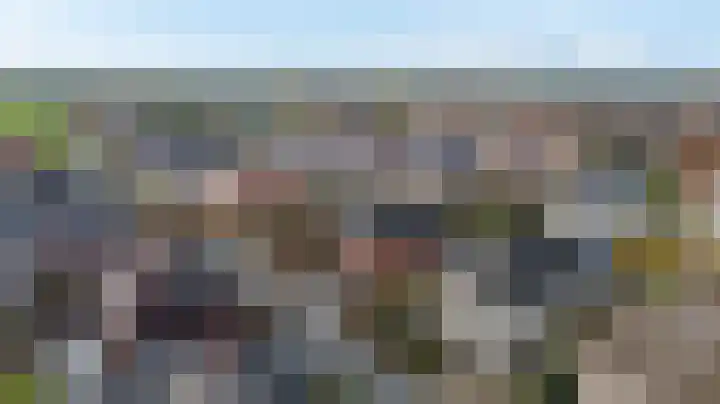 Seine 6 Doetinchem thumbnail 9