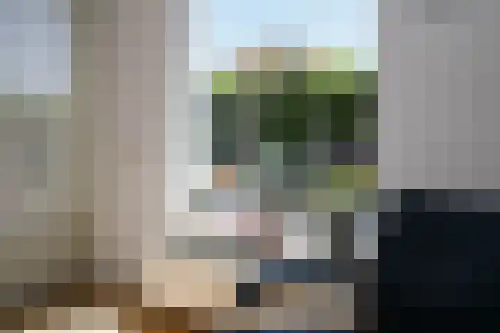 Seine 89 Nieuwerkerk aan den IJssel thumbnail 12